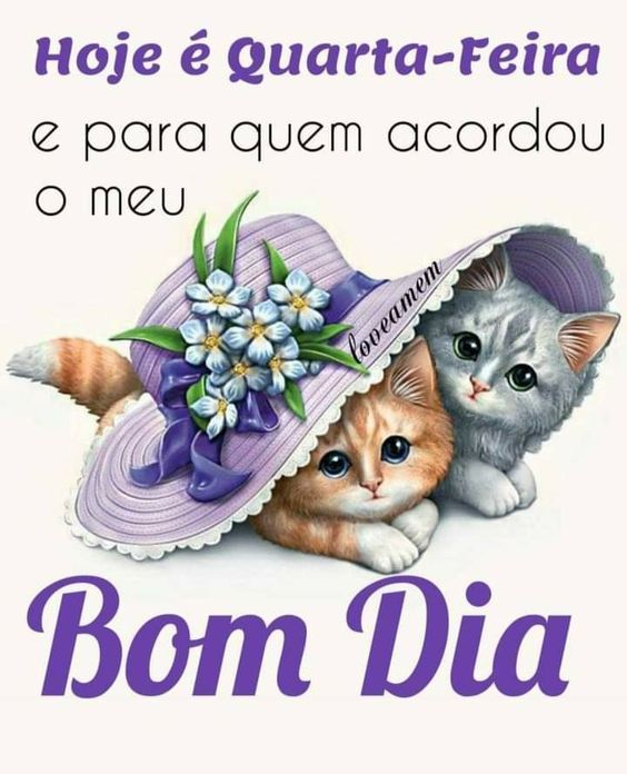 bom dia hoje é quarta feira