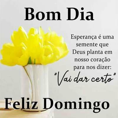 bom dia hoje tudo vai da certo feliz domingo