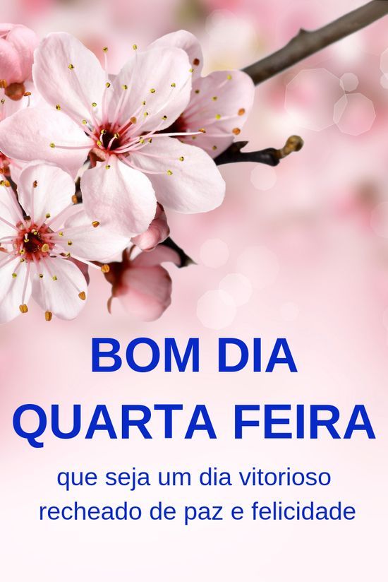 bom dia quarta feira que seja um dia vitorioso