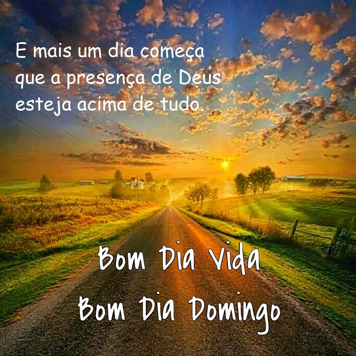 bom dia vida bom dia domingo