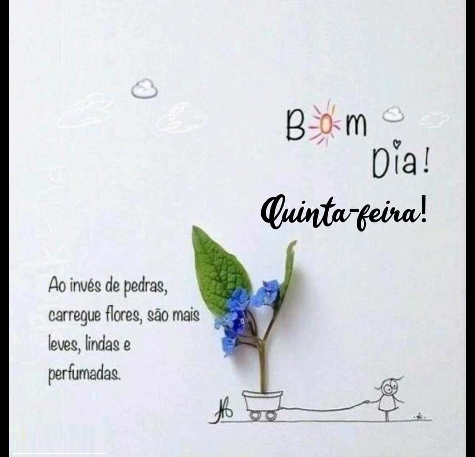 carregue flores lindas bom dia quinta feira