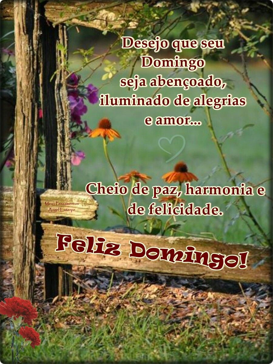 desejo que seu domingo seja abençoado