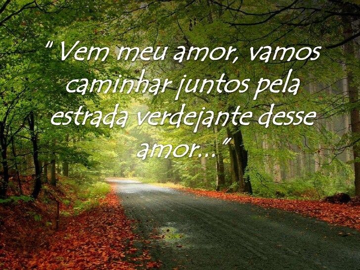 entrada verdadeira do amor amaluz frases apaixonada