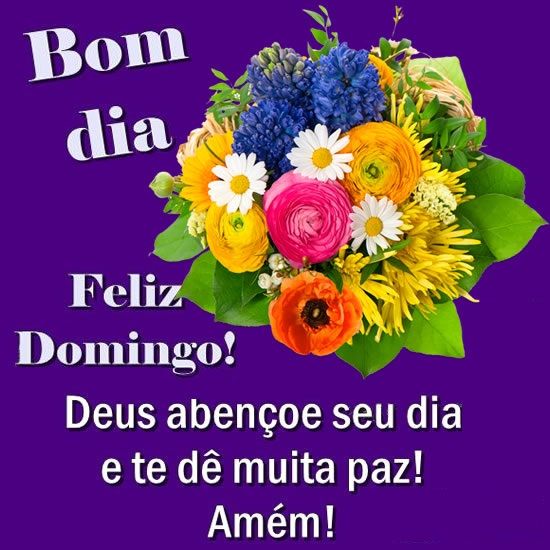 feliz domingo bom dia imagens