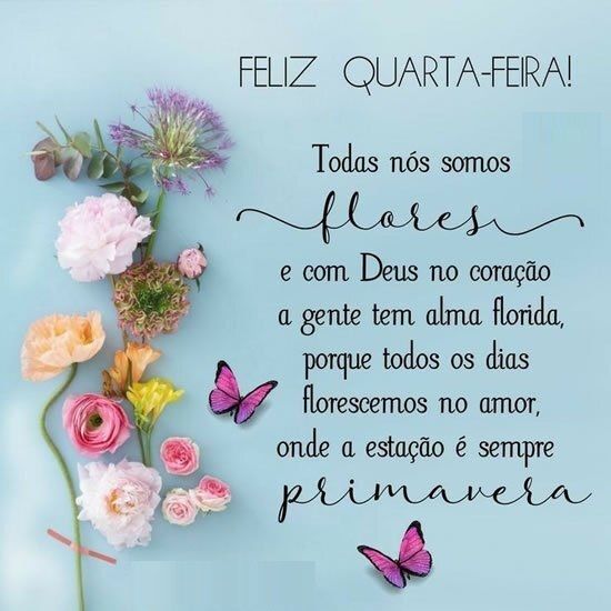 feliz quarta feira para todos nos