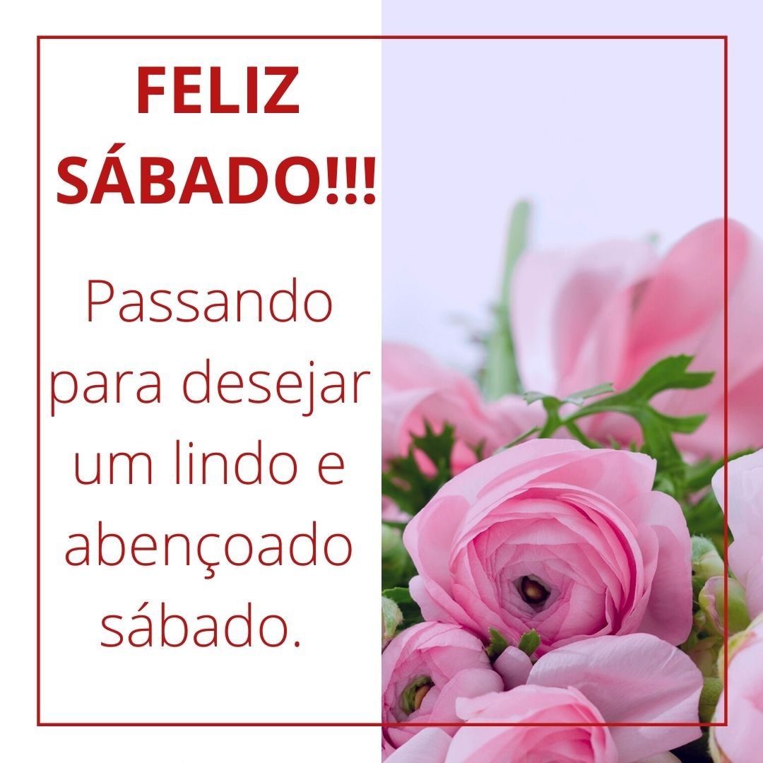 imagens de bom dia feliz sábado