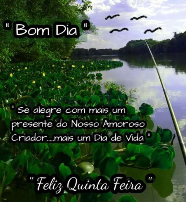 mais um dia de vida bom dia feliz quinta
