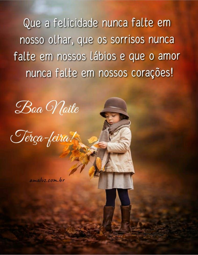 que a felicidade nunca falte boa noite terça