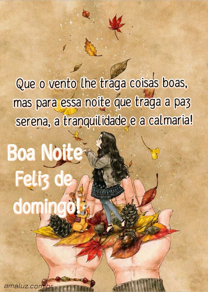 que o vento lhe traga coisas boas boa noite de domingo