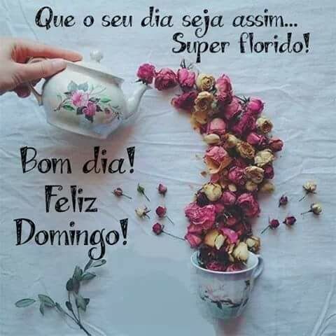 30 Imagens de Bom dia Domingo com Flores e Frases 30 Imagens de Bom dia Domingo com Flores e Frases