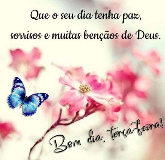 que seu dia tenha paz bom dia terça
