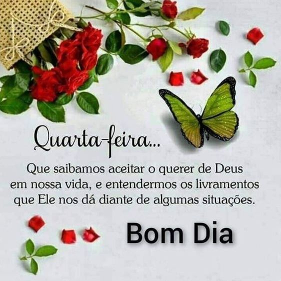 tenhamum bom dia de quarta feira