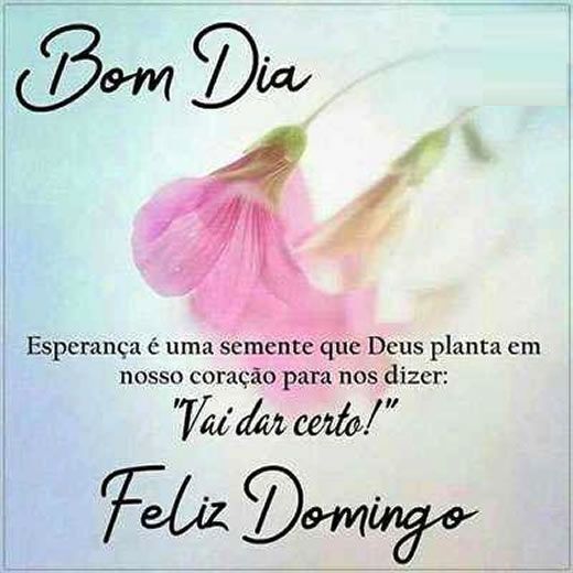 tudo vai da certo bom dia feliz domingo