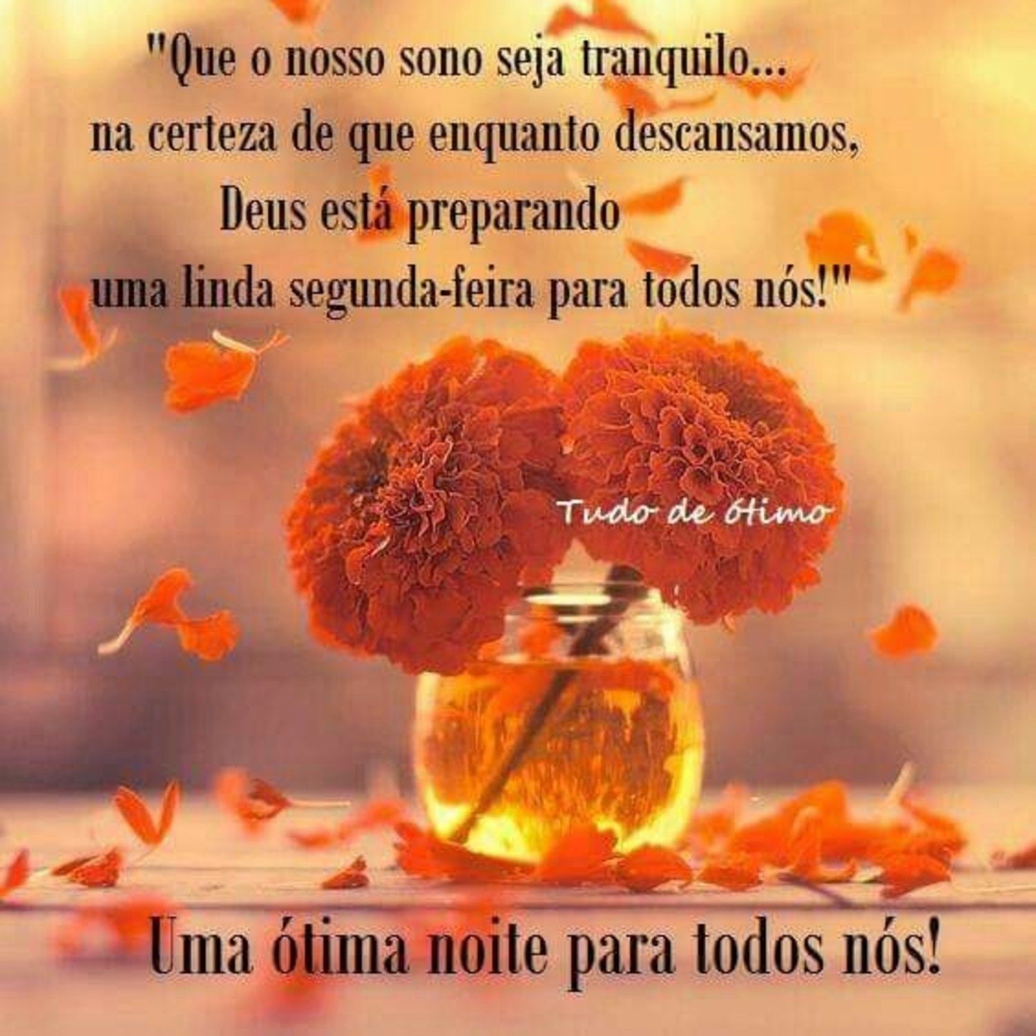 uma linda noite de segunda feira a todos nós