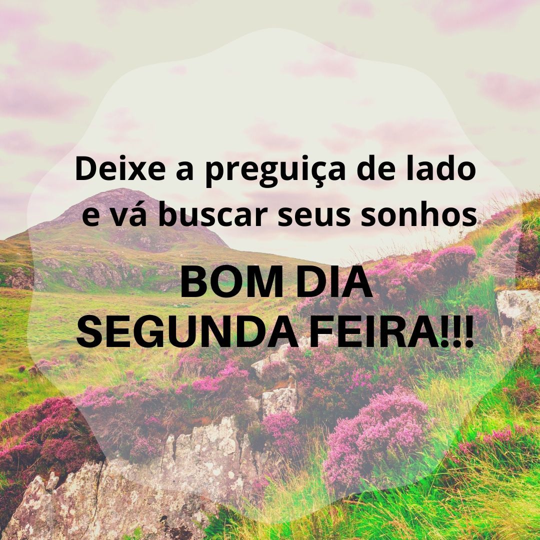 vá busca seus sonhos bom dia segunda