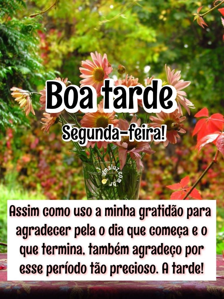 Agradeço por essa linda tarde de segunda feira
