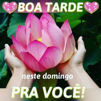 Boa tarde linda de domingo