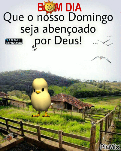 Bom dia, domingo abençoado gif