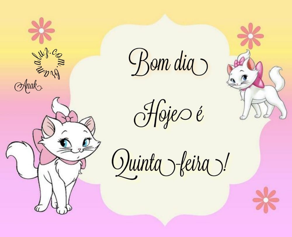 Bom dia hoje é quinta feira