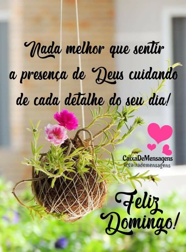Feliz domingo com detalhes de Deus