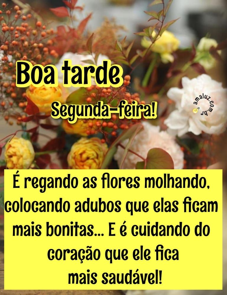 Mensagens de boa tarde segunda feira imagens