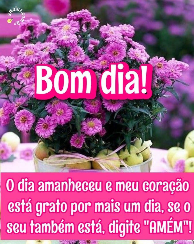 O-dia-amanheceu-bom-dia-imagens