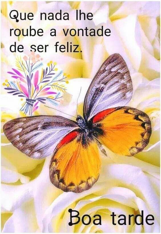 Que a sua tarde de domingo a vontade de ser feliz seja maior