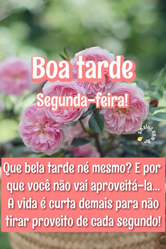 Que bela tarde de segunda feira ne mesmo lindas imagens