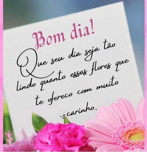 Um dia mais lindo que as flores