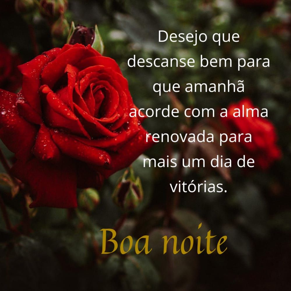 desejo um descanso maravilhoso boa noite