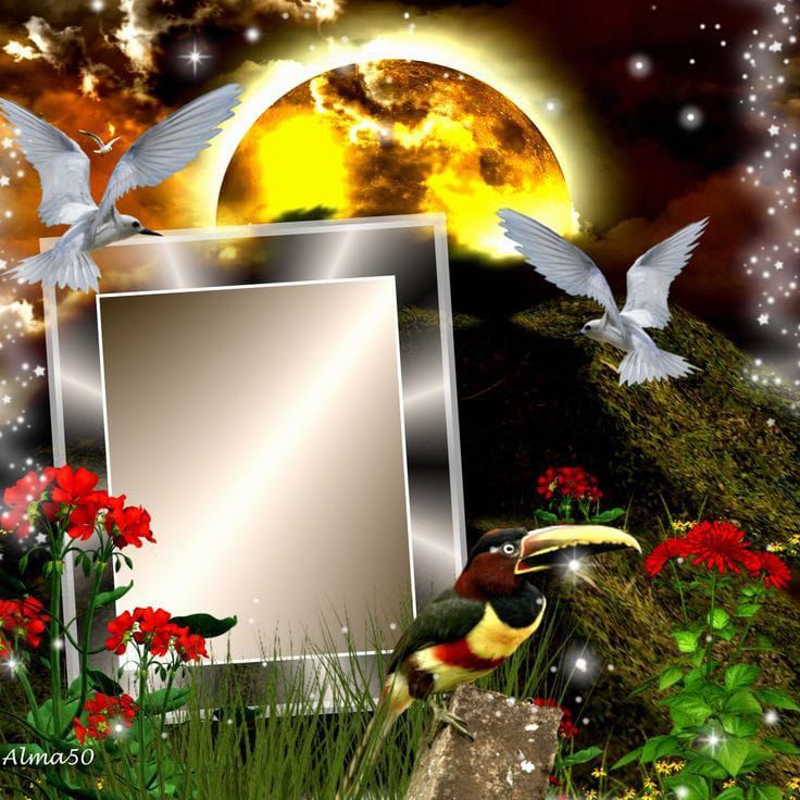 moldura com paisagens