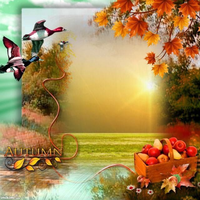 paisagem natural de muldura