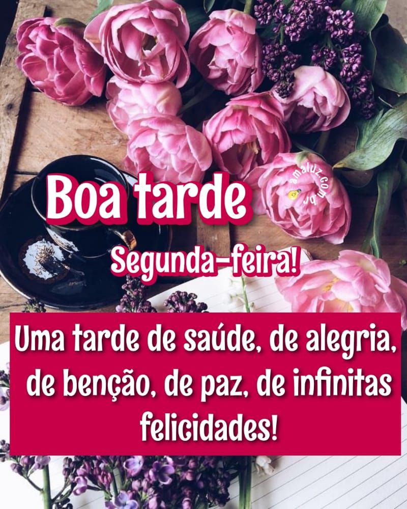 uma tarde de saúde e alegria boa tarde imagens