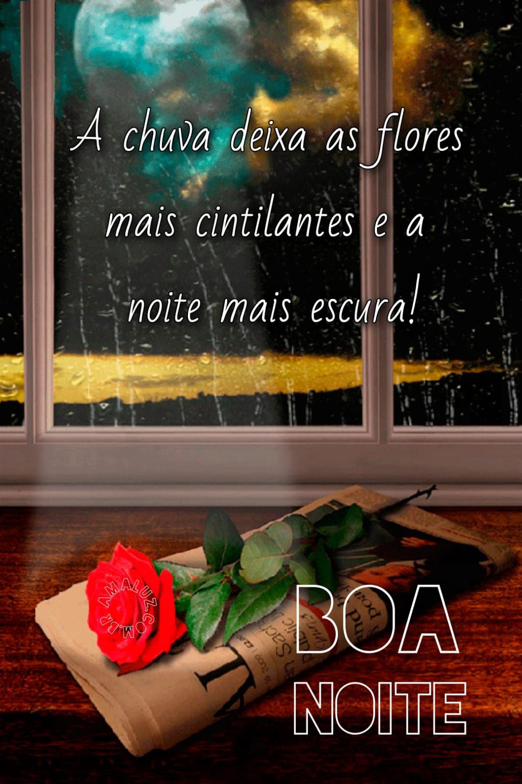 A chuva deixa as flores mais cintilantes