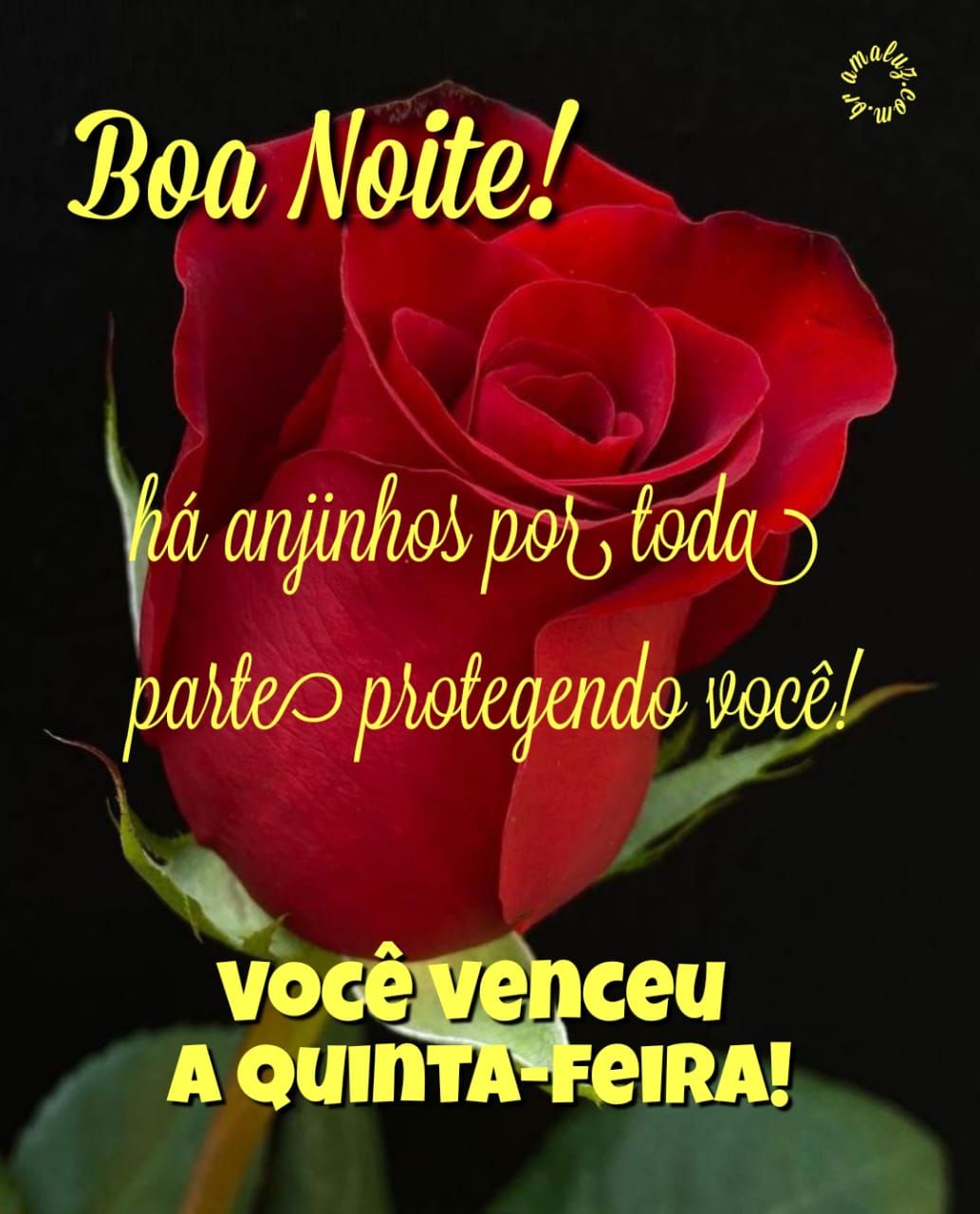 Boa noite, você venceu a quinta feira