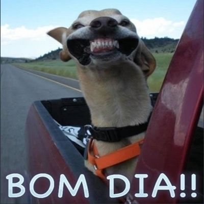 Bom dia galera do whatsapp hoje nos chega cedo