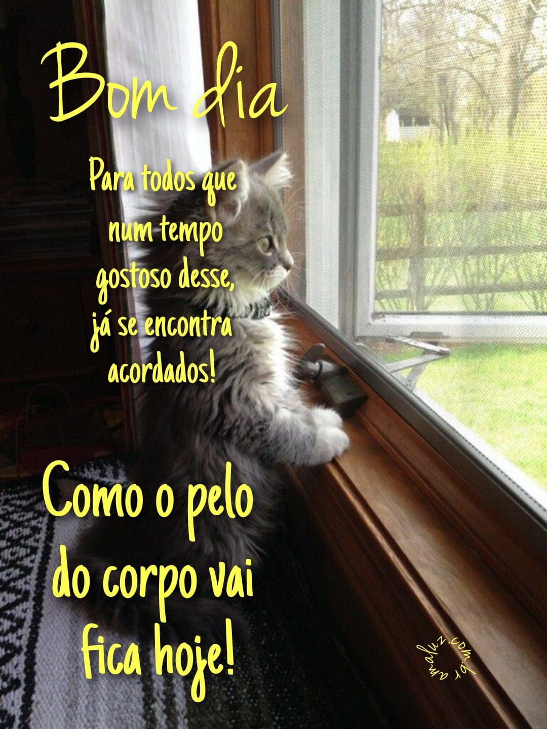 Bom dia para quem se encontra acordado