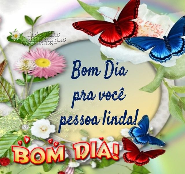 Bom dia para você pessoa linda