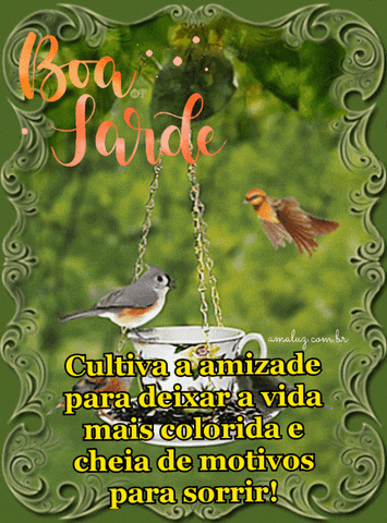 Cultive a amizade boa tarde