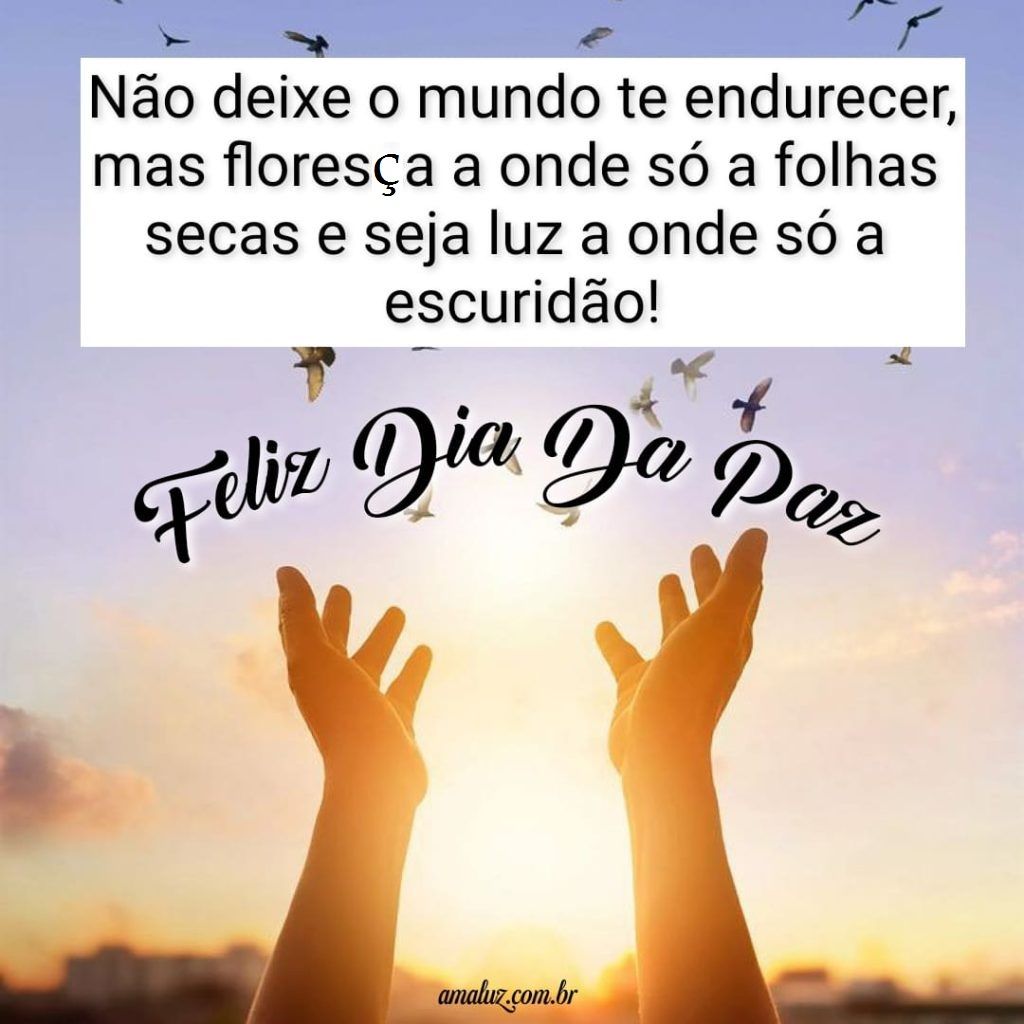 Dia-da-paz-com-motivação-imagens