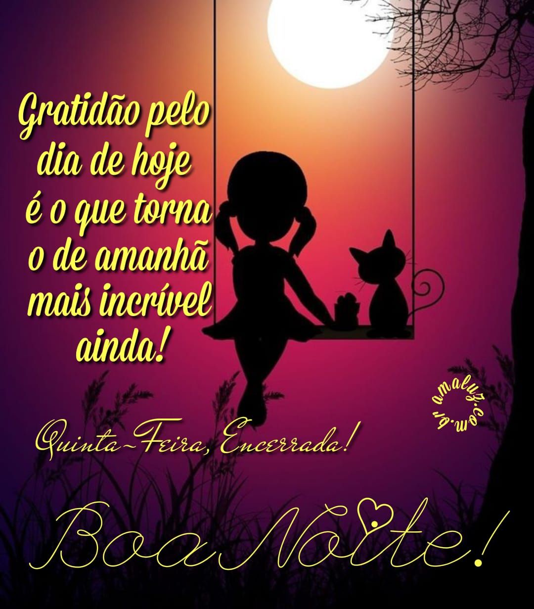 Gratidão-pelo-dia-de-hoje-boa-noite