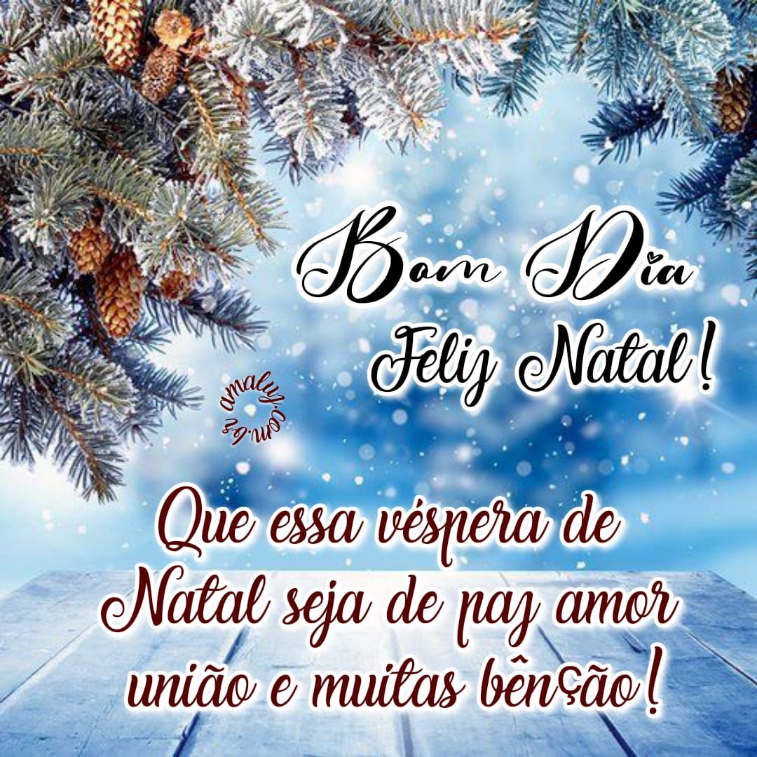 50 Mensagens De Bom Dia Natal Com Frases E Desejos Bonitos