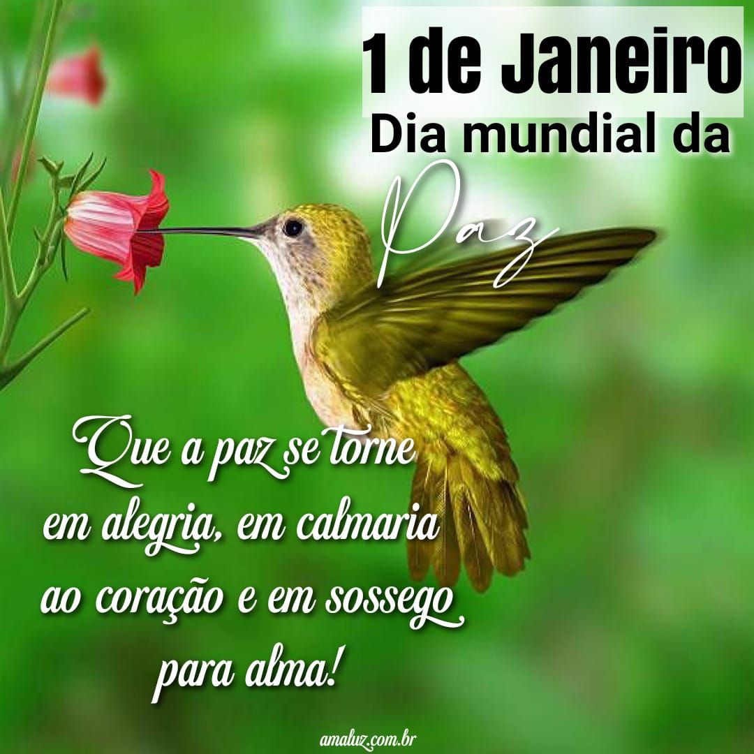 Tenham um feliz dia mundial da paz