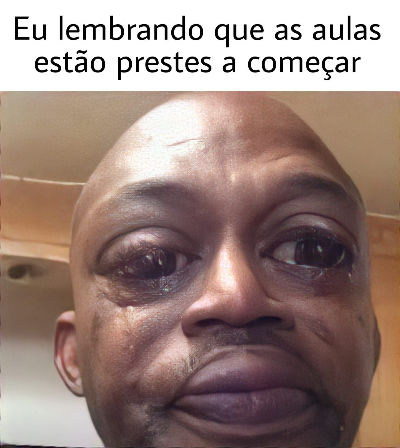 Mundo Memes - As Melhores Tirinhas Memes!  Memes, Memes engraçados whatsapp,  Memes engraçados