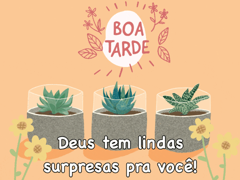 Boa tarde com flores e gifs