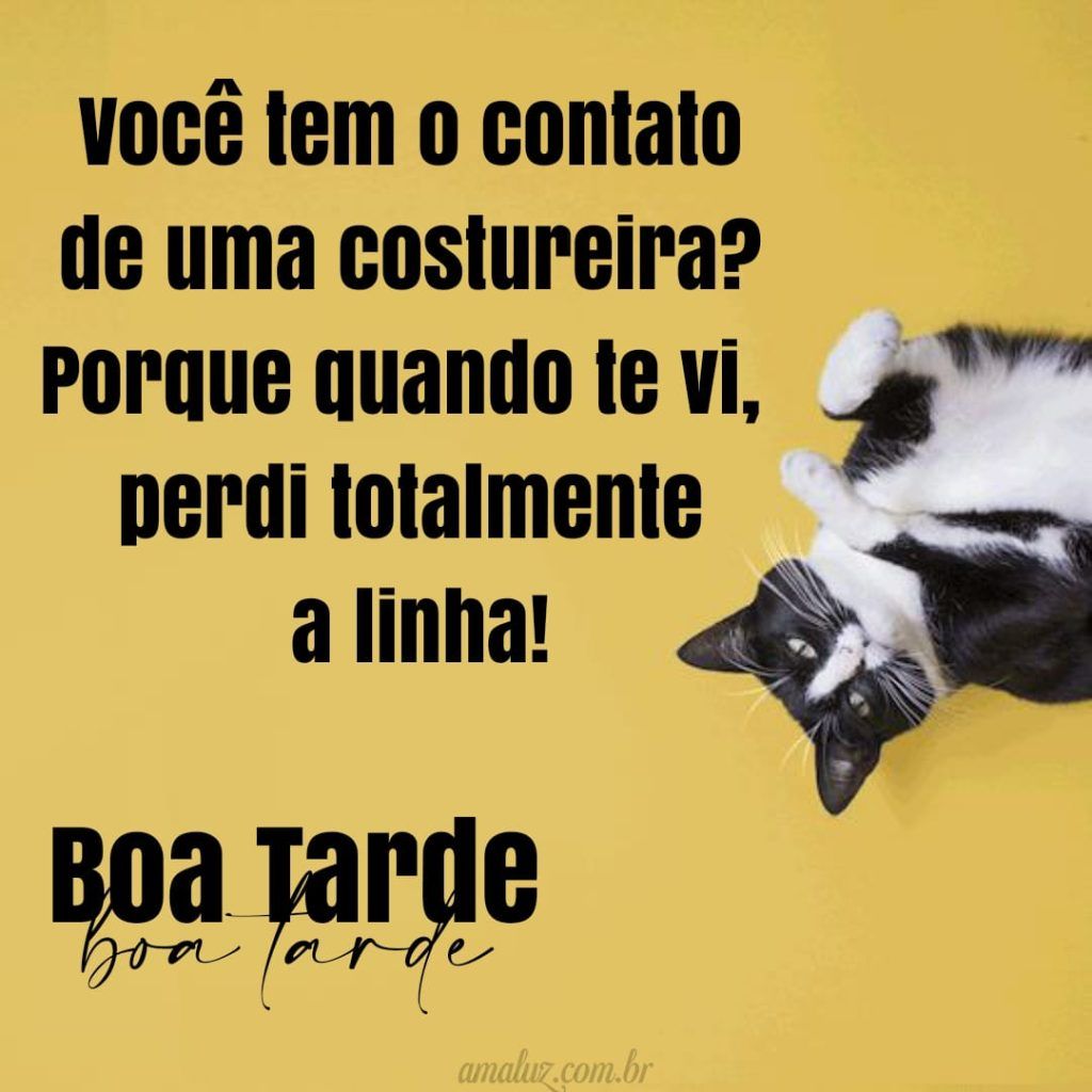 Boa tarde com frases engraçadas