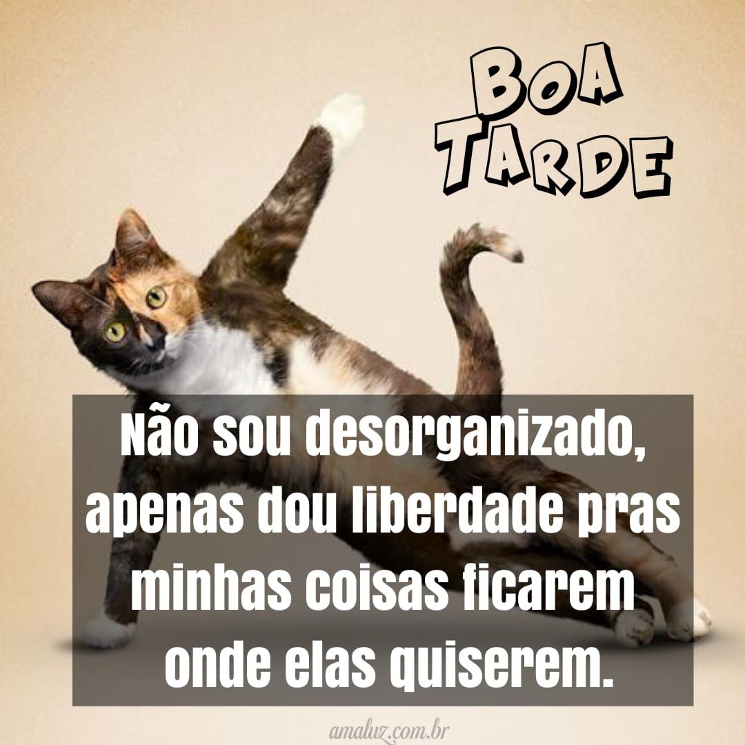 Boa tarde e humor