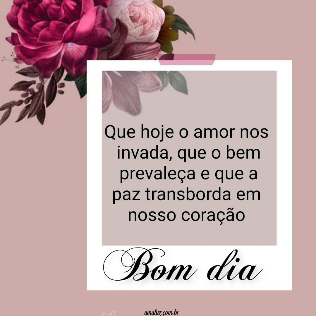 Bom dia com a paz das flores