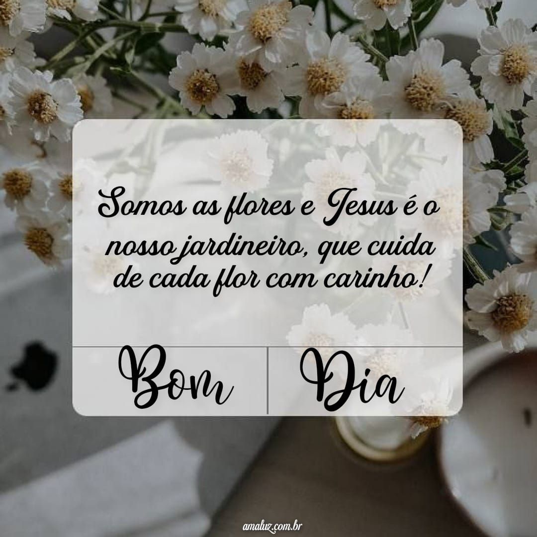 40 Imagens de Bom dia com Flores e Mensagens para Whatsapp 40 Imagens de Bom dia com Flores e Mensagens para Whatsapp