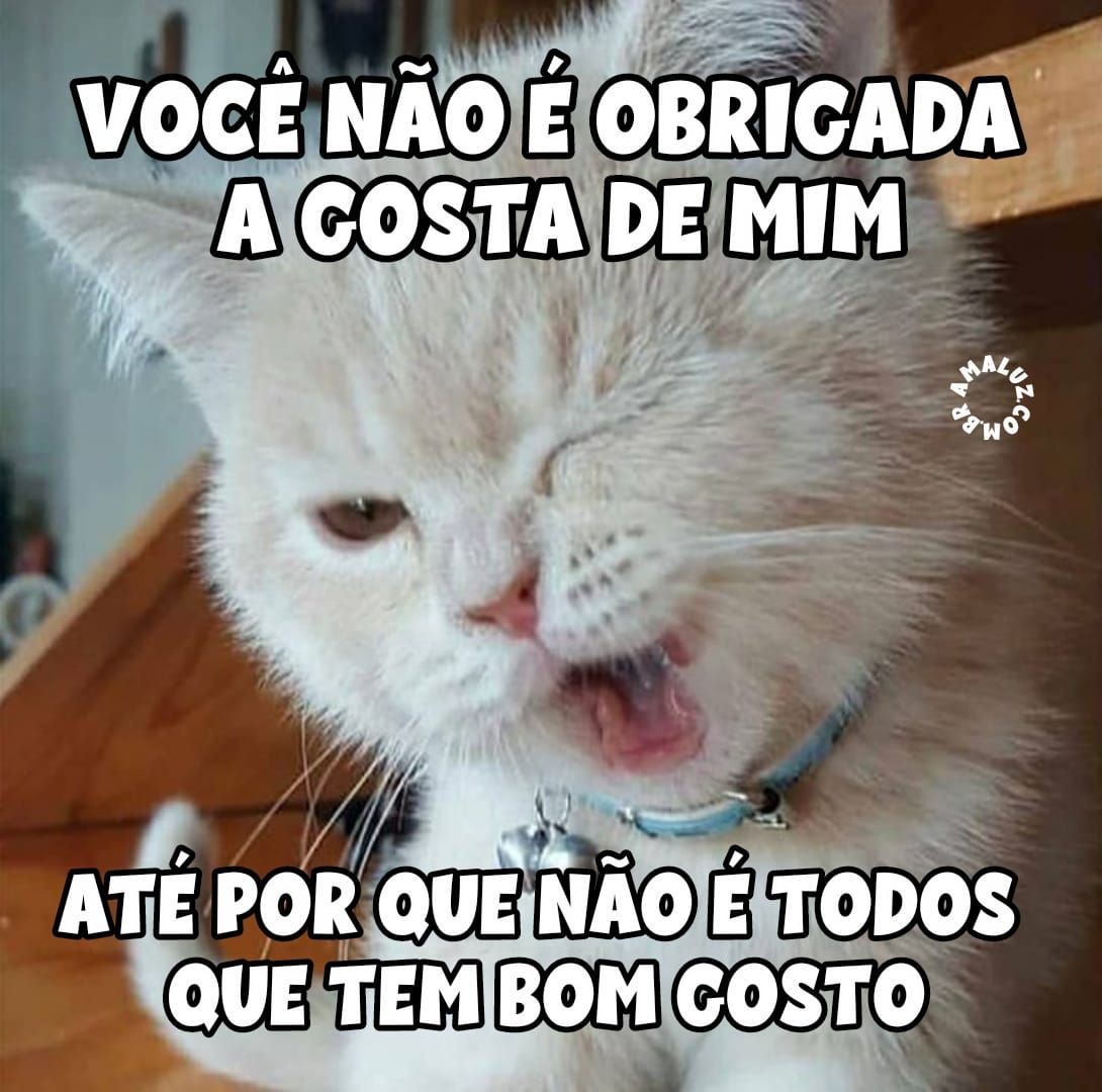 Engraçadas imagens para status